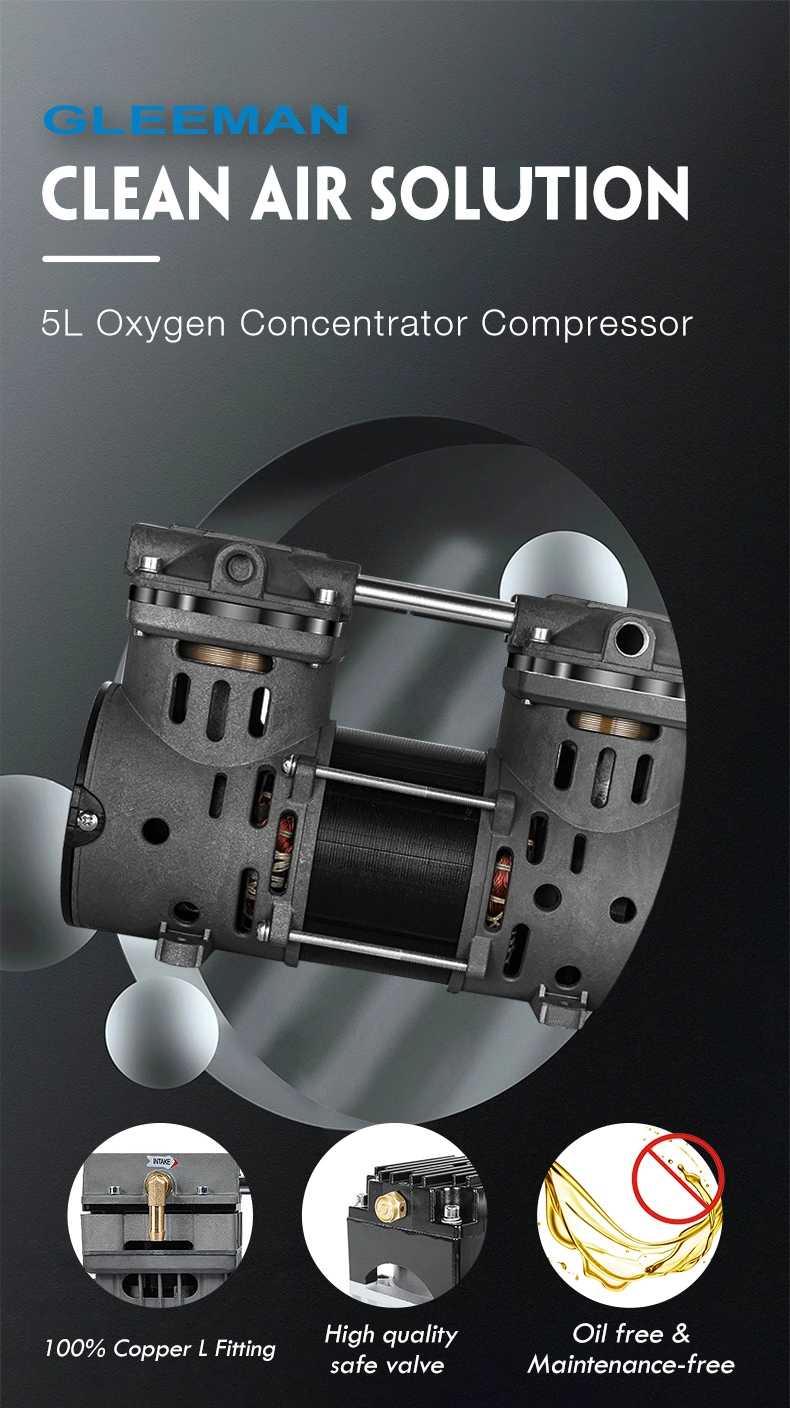 Silent 75L/Min 2bar Portable Air Compressor 320W for 5L Oxygen Concentrator